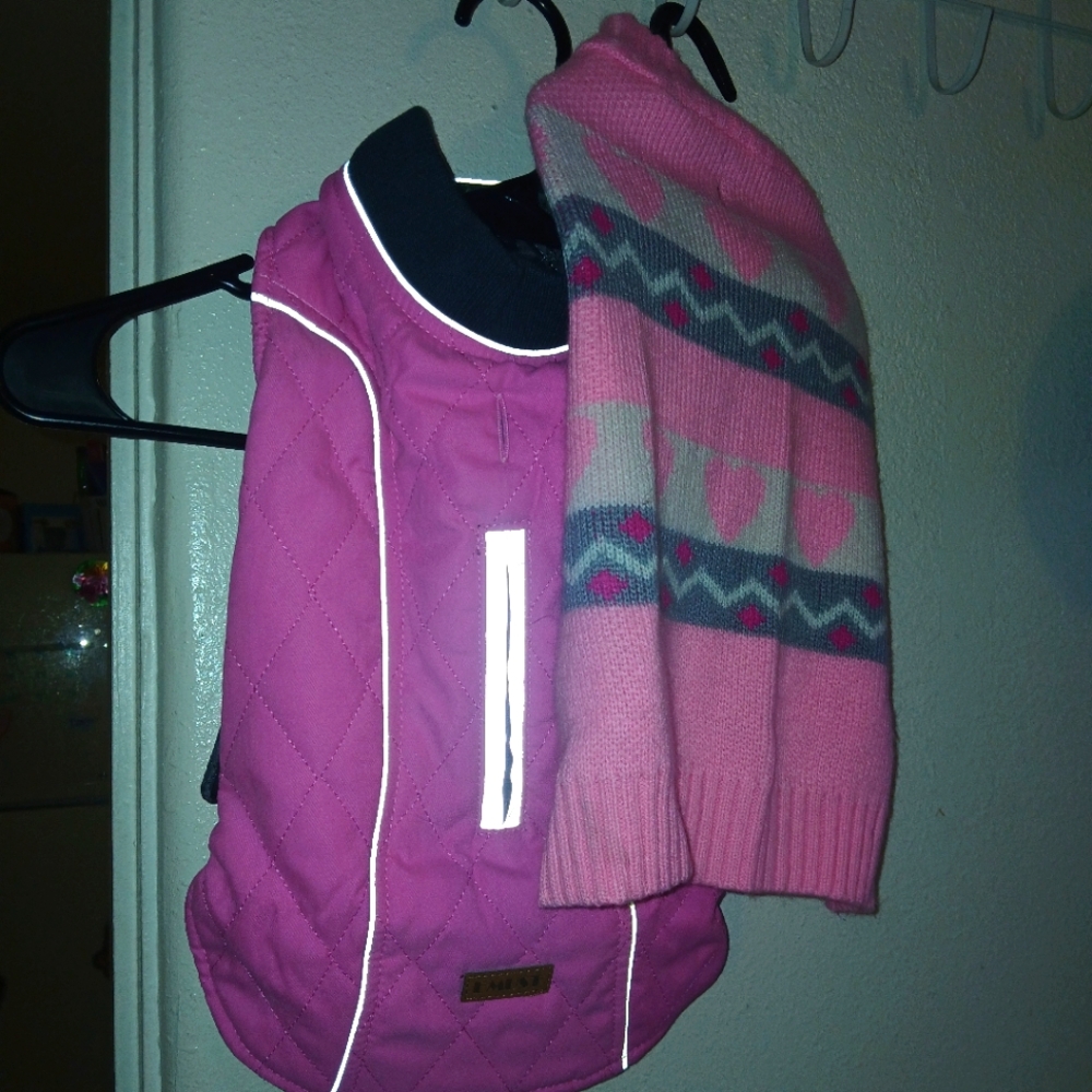 Dog sweater & jacket